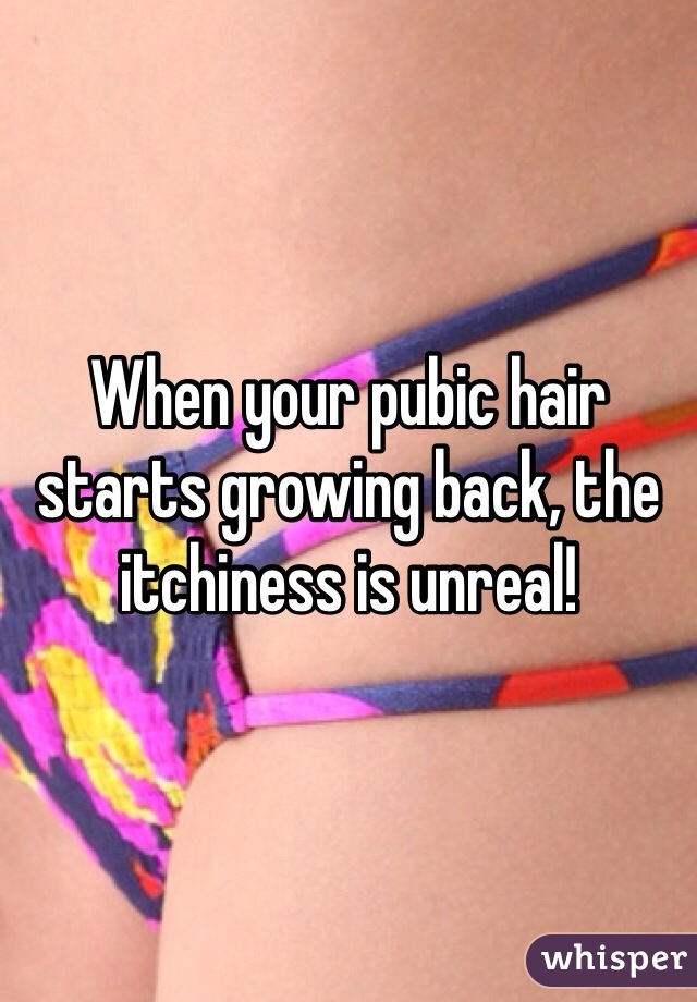 When your pubic hair starts growing back, the itchiness is unreal!