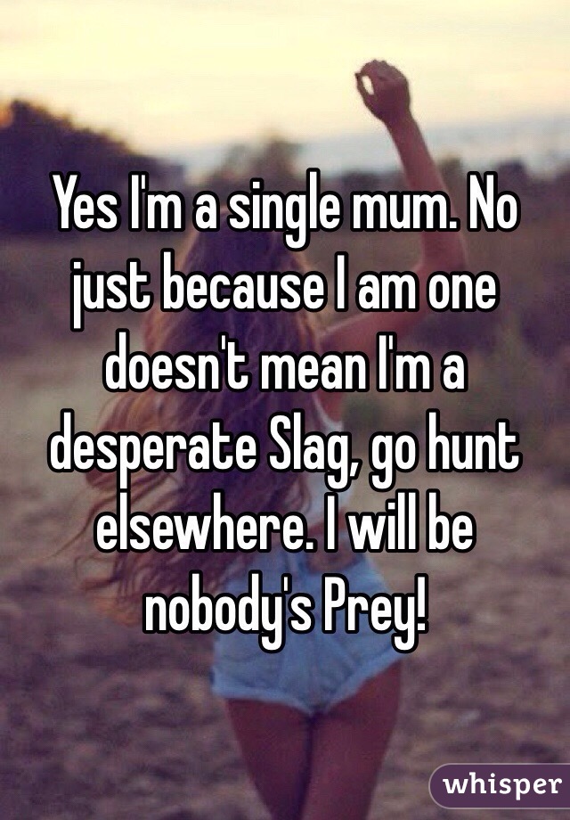Yes I'm a single mum. No just because I am one doesn't mean I'm a desperate Slag, go hunt elsewhere. I will be nobody's Prey! 