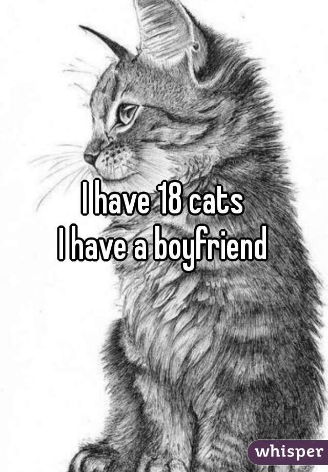 I have 18 cats
I have a boyfriend