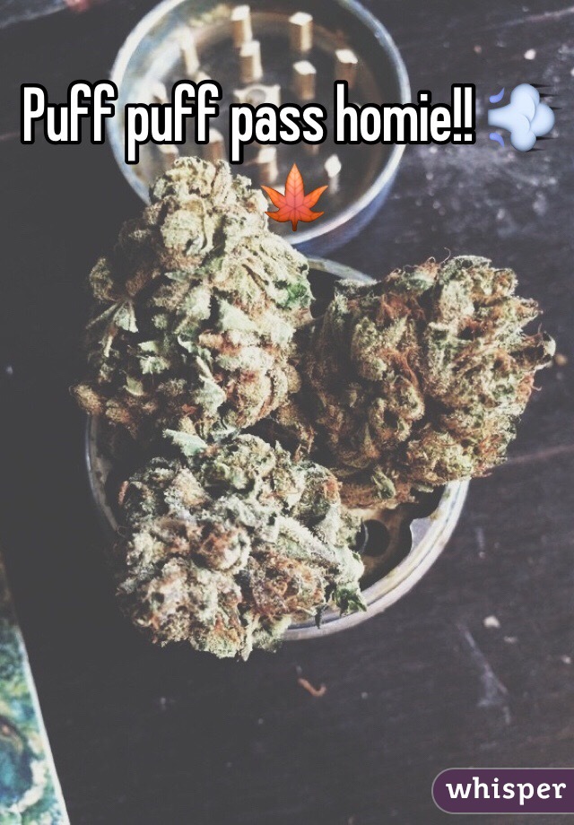 Puff puff pass homie!! 💨🍁