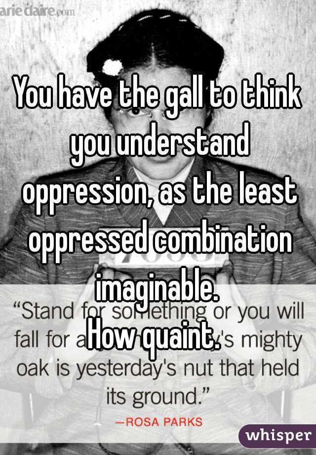 You have the gall to think you understand oppression, as the least oppressed combination imaginable. 
How quaint. 