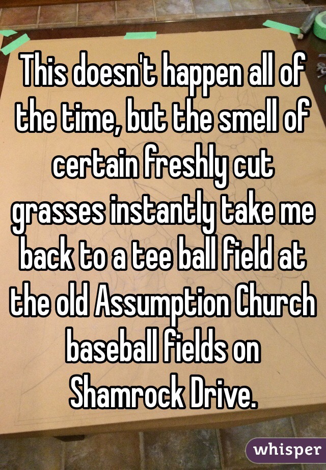 This doesn't happen all of the time, but the smell of certain freshly cut grasses instantly take me back to a tee ball field at the old Assumption Church baseball fields on Shamrock Drive. 