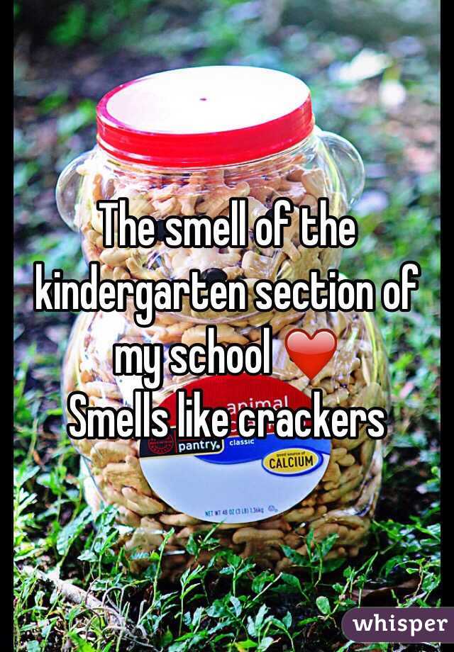 The smell of the kindergarten section of my school ❤️
Smells like crackers