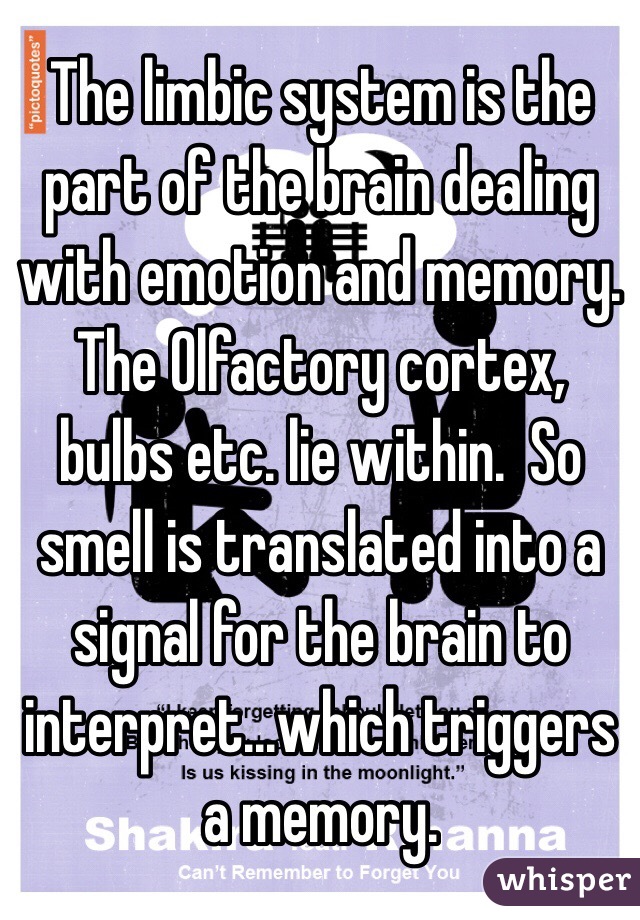 The limbic system is the part of the brain dealing with emotion and memory.  The Olfactory cortex, bulbs etc. lie within.  So smell is translated into a signal for the brain to interpret...which triggers a memory.