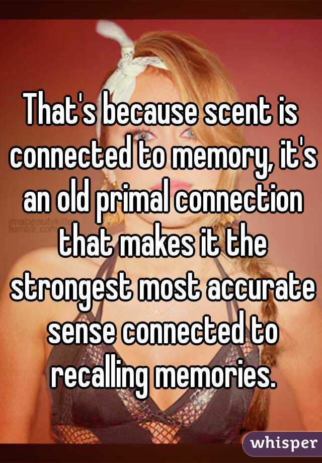 That's because scent is connected to memory, it's an old primal connection that makes it the strongest most accurate sense connected to recalling memories.