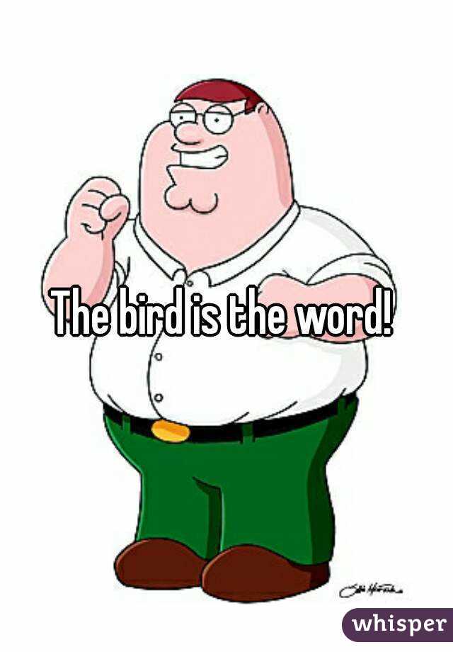 The bird is the word! 