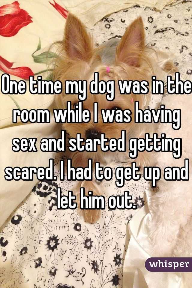 One time my dog was in the room while I was having sex and started getting scared. I had to get up and let him out.
