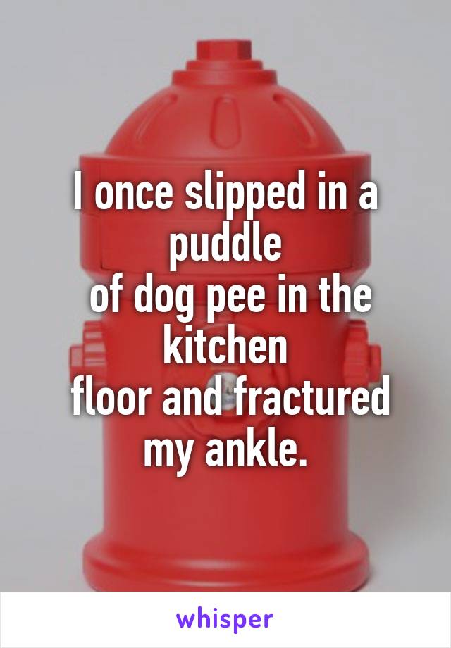 I once slipped in a puddle
 of dog pee in the kitchen
 floor and fractured
 my ankle. 