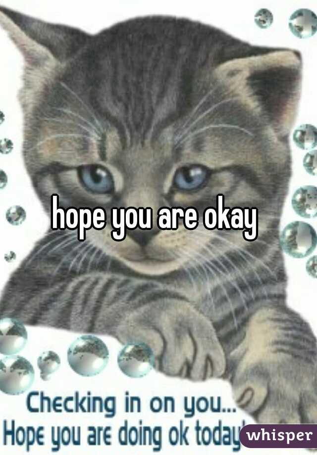 hope you are okay 