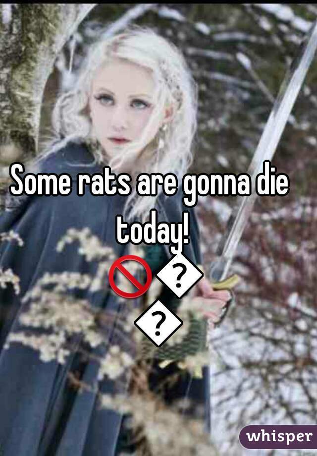 Some rats are gonna die today! 🚫🚫🚫