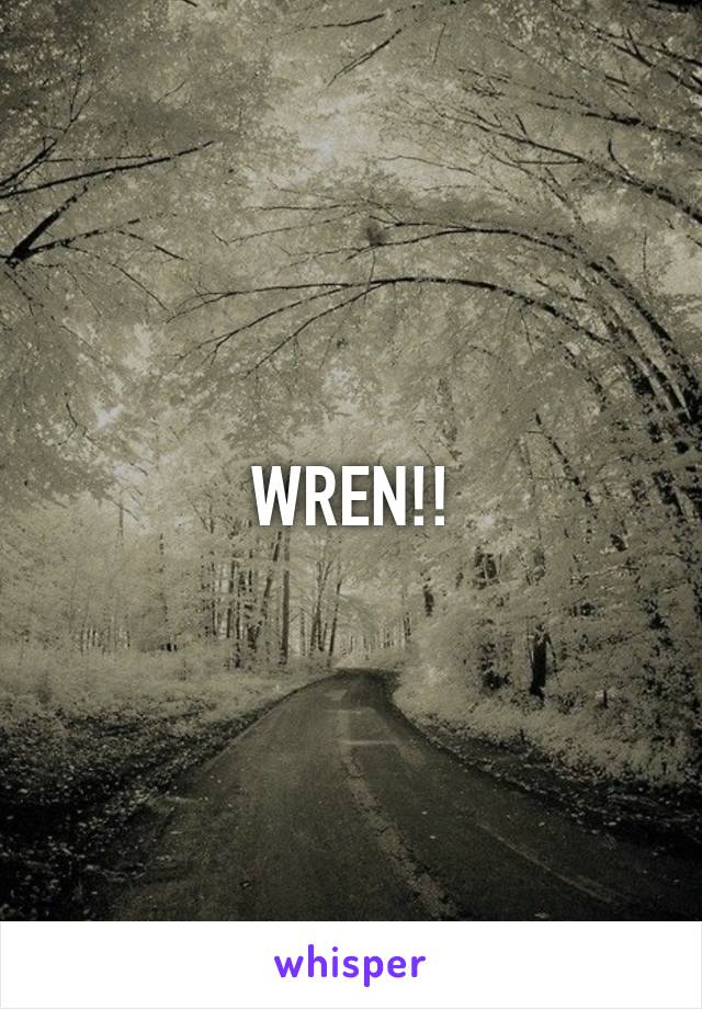WREN!!
