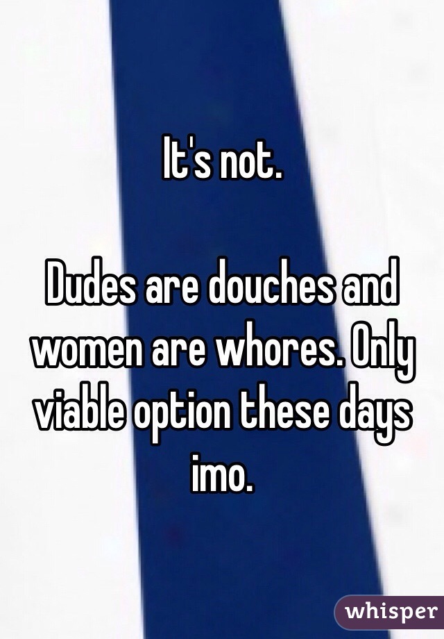 It's not. 

Dudes are douches and women are whores. Only viable option these days imo. 