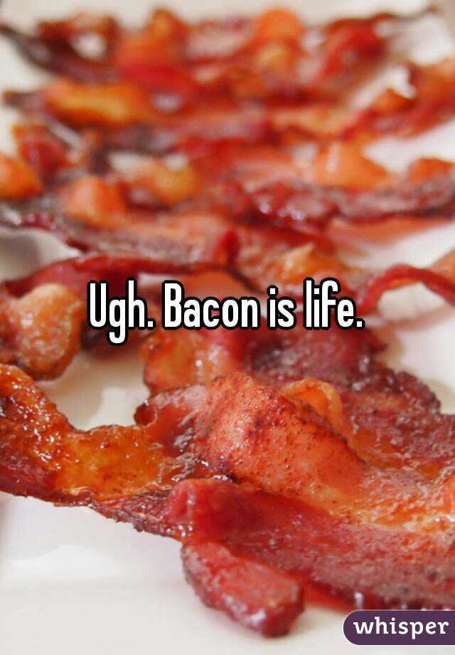 Ugh. Bacon is life.