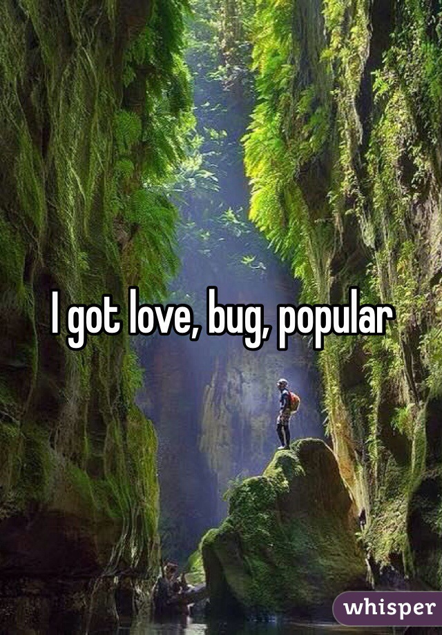 I got love, bug, popular