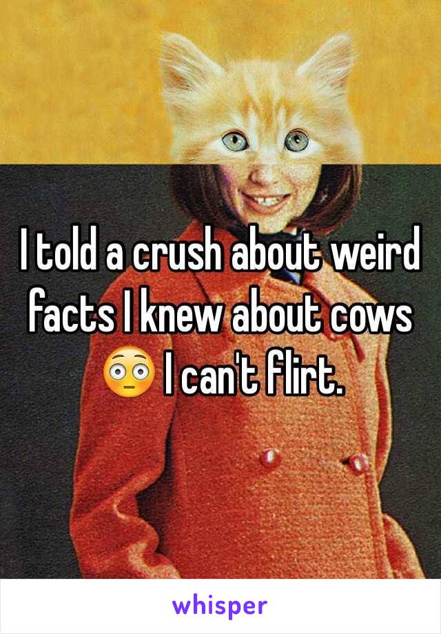 I told a crush about weird facts I knew about cows 😳 I can't flirt.