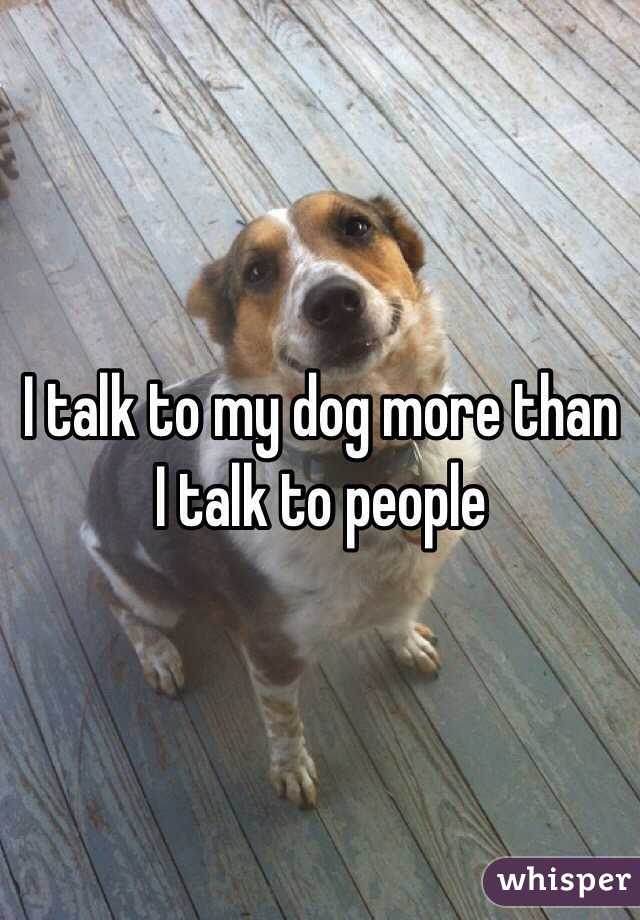 I talk to my dog more than I talk to people 
