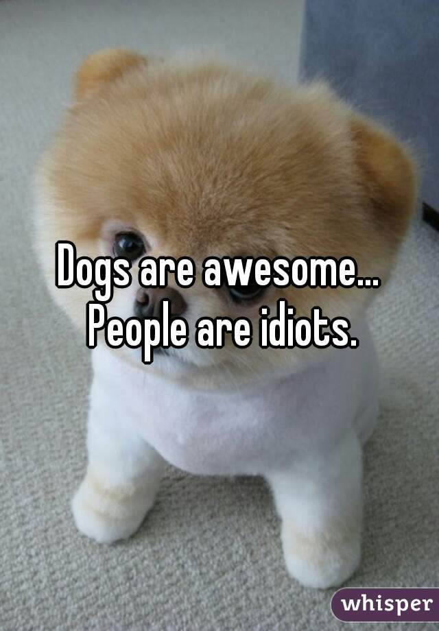 Dogs are awesome... People are idiots.