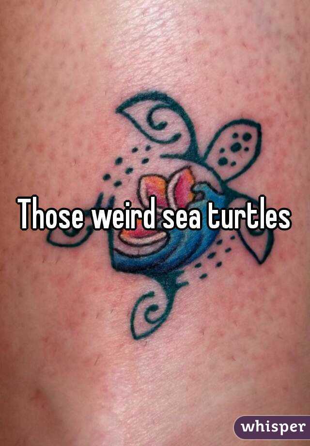 Those weird sea turtles