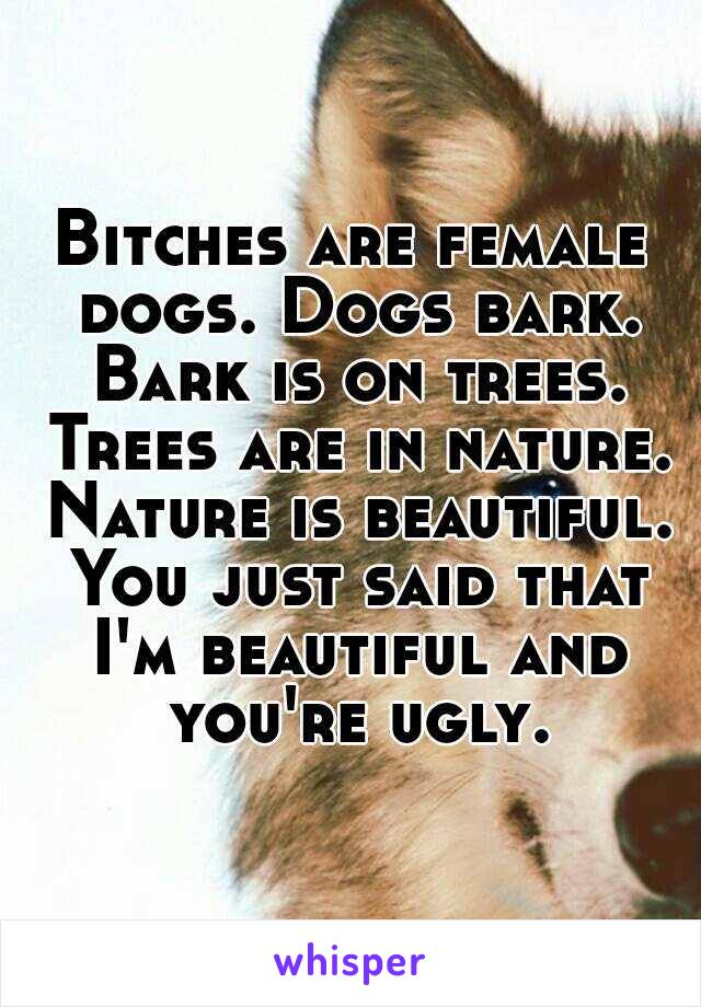 Bitches are female dogs. Dogs bark. Bark is on trees. Trees are in nature. Nature is beautiful. You just said that I'm beautiful and you're ugly.