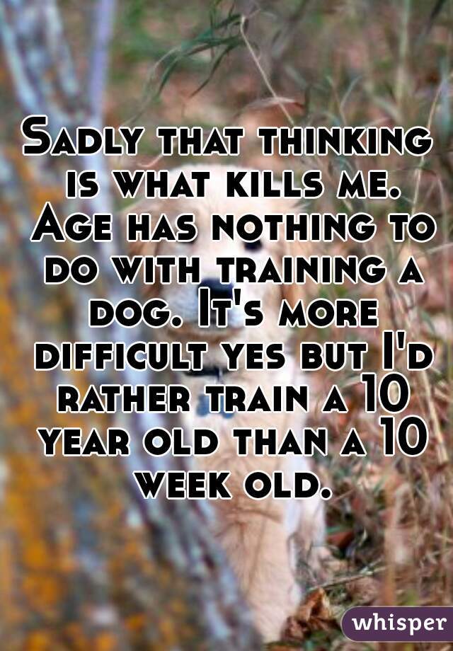 Sadly that thinking is what kills me. Age has nothing to do with training a dog. It's more difficult yes but I'd rather train a 10 year old than a 10 week old.