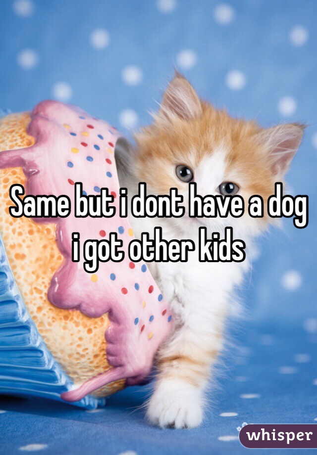 Same but i dont have a dog i got other kids