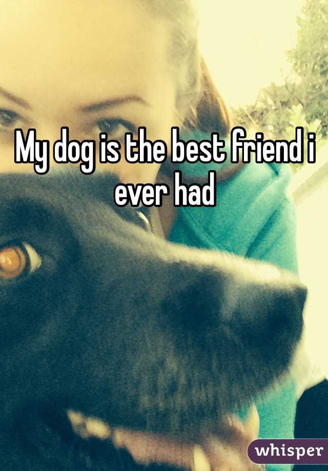 My dog is the best friend i ever had 