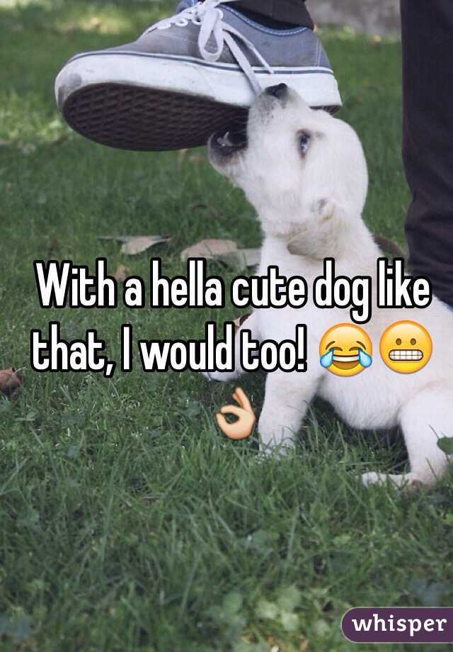 With a hella cute dog like that, I would too! 😂😬👌
