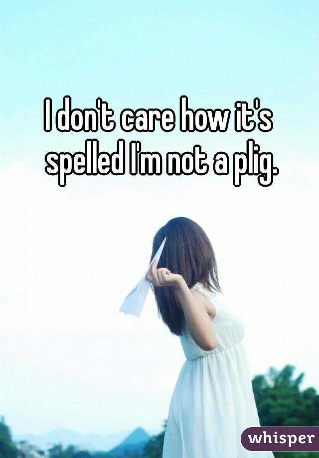 I don't care how it's spelled I'm not a plig.