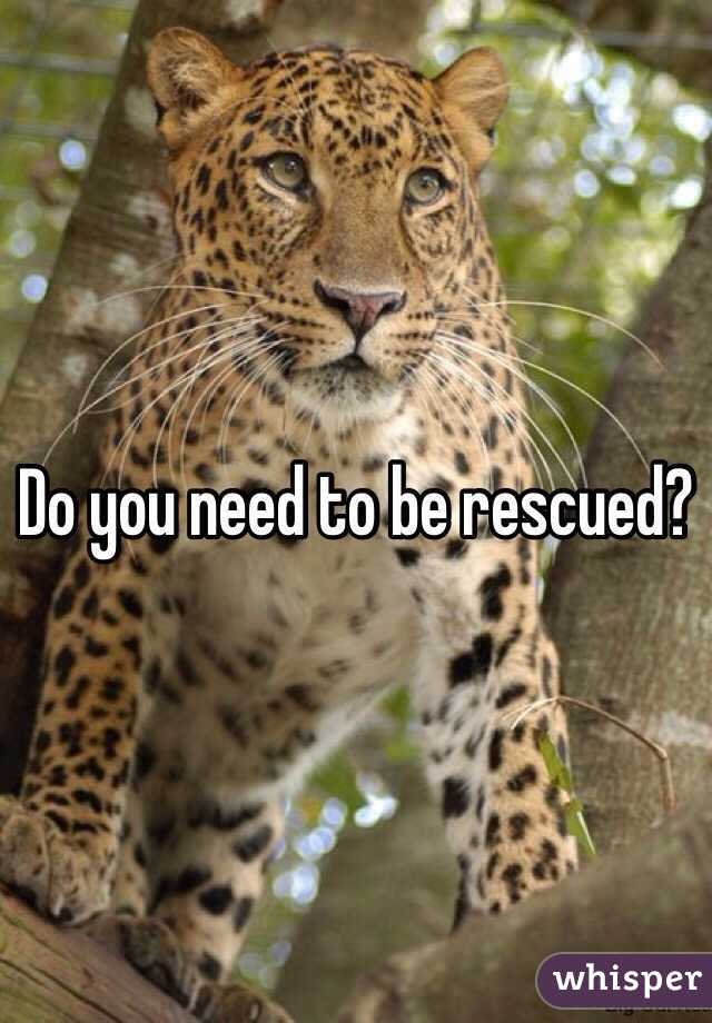 Do you need to be rescued? 