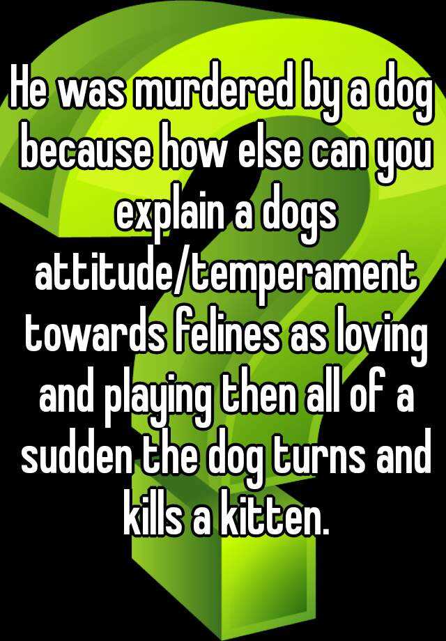 he-was-murdered-by-a-dog-because-how-else-can-you-explain-a-dogs