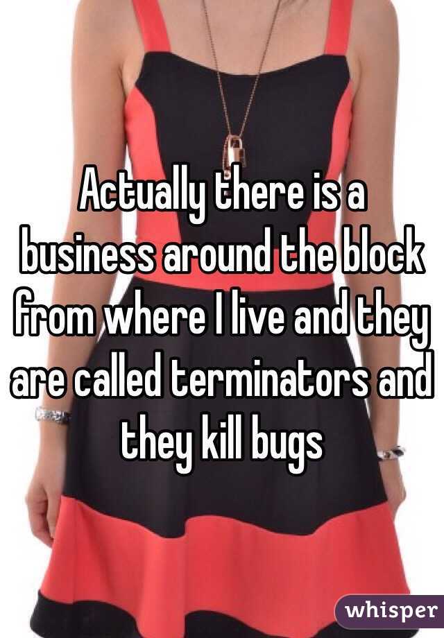 Actually there is a business around the block from where I live and they are called terminators and they kill bugs