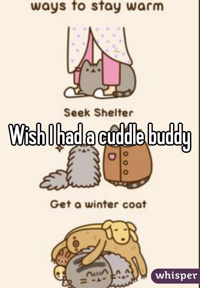 Wish I had a cuddle buddy