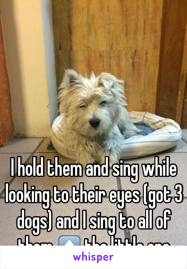 I hold them and sing while looking to their eyes (got 3 dogs) and I sing to all of them ⬆️ the little one 