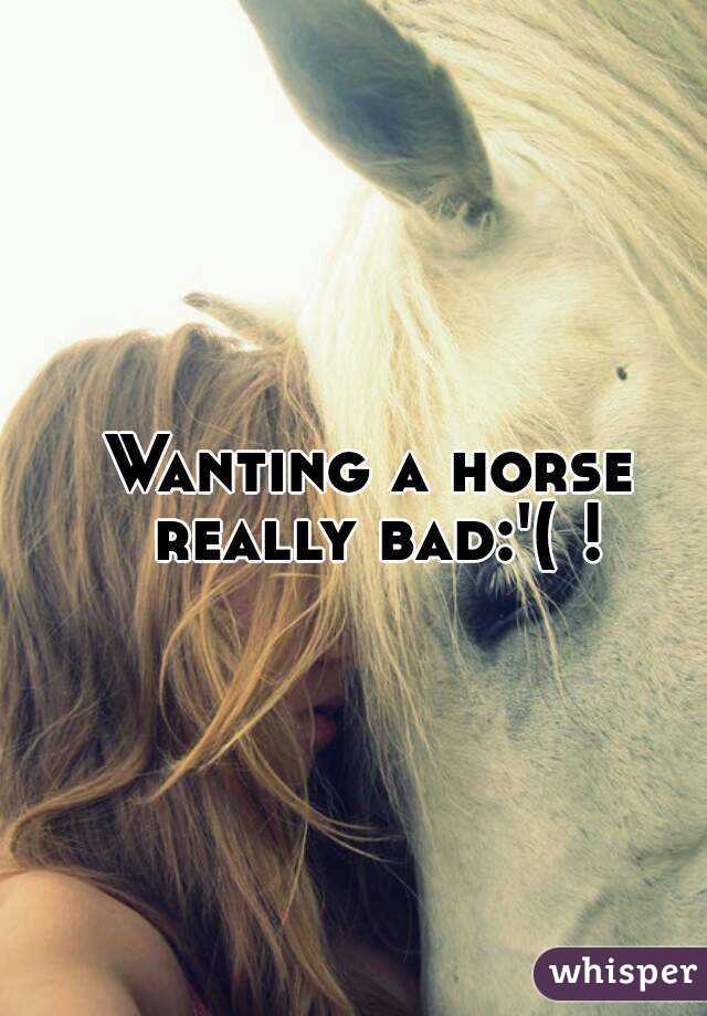 Wanting a horse really bad:'( !