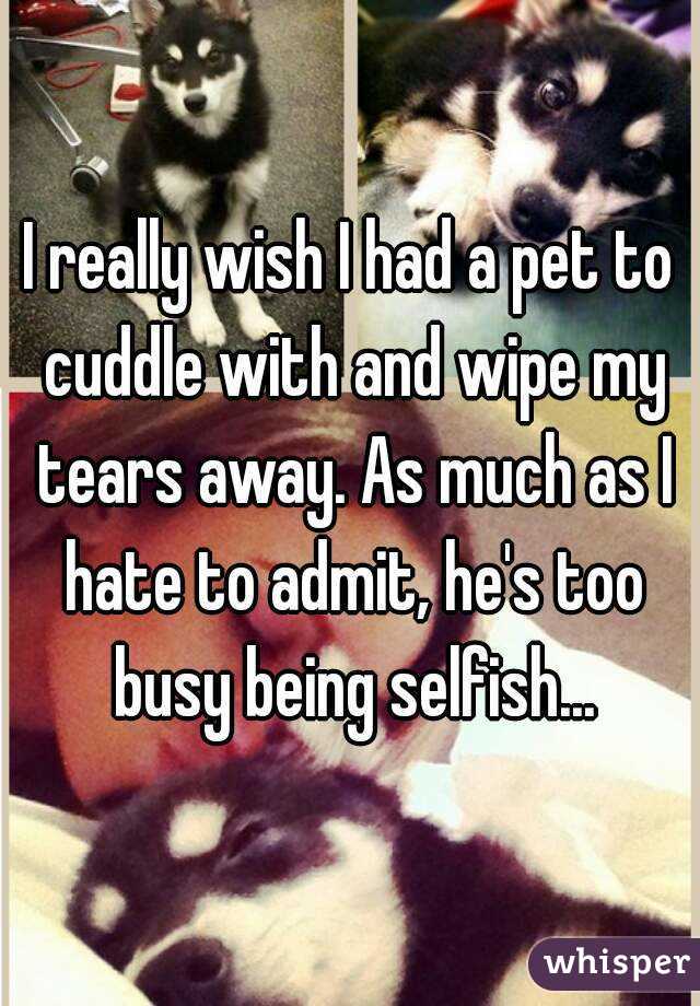 I really wish I had a pet to cuddle with and wipe my tears away. As much as I hate to admit, he's too busy being selfish...