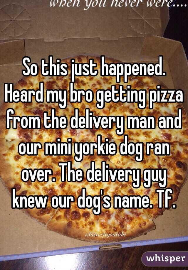 So this just happened. 
Heard my bro getting pizza from the delivery man and our mini yorkie dog ran over. The delivery guy knew our dog's name. Tf. 