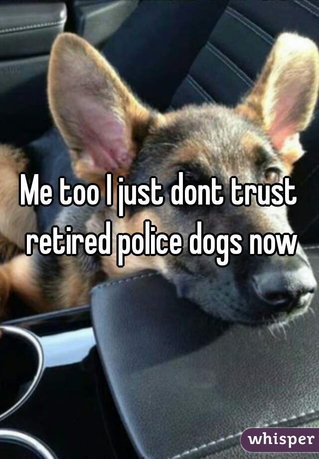 Me too I just dont trust retired police dogs now