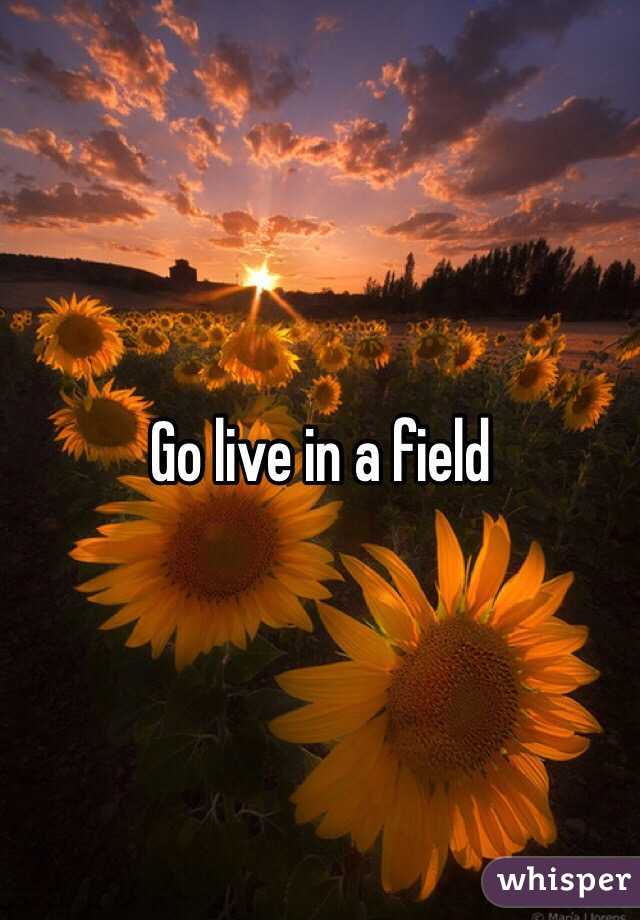 Go live in a field 