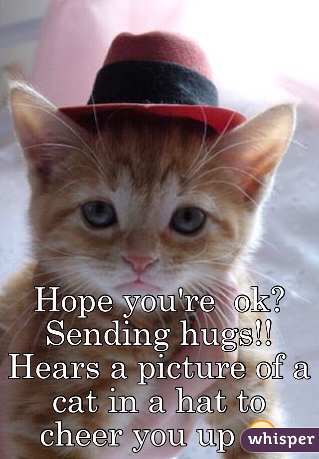 Hope you're  ok? 
Sending hugs!! 
Hears a picture of a cat in a hat to cheer you up ☺️