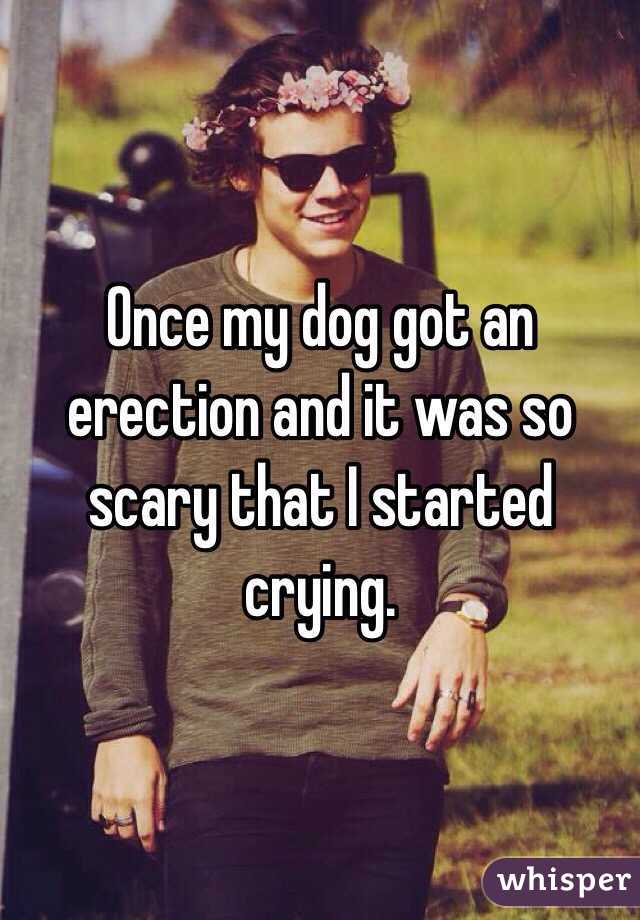 Once my dog got an erection and it was so scary that I started crying. 