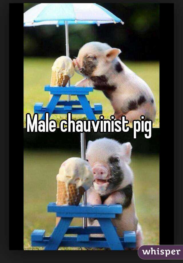 Male chauvinist pig 