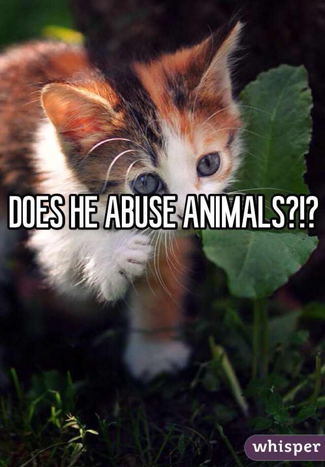 DOES HE ABUSE ANIMALS?!?
