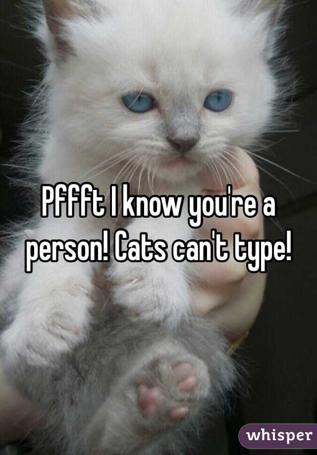 Pffft I know you're a person! Cats can't type!