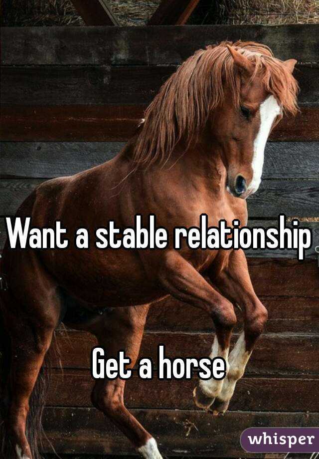 Want a stable relationship 

Get a horse