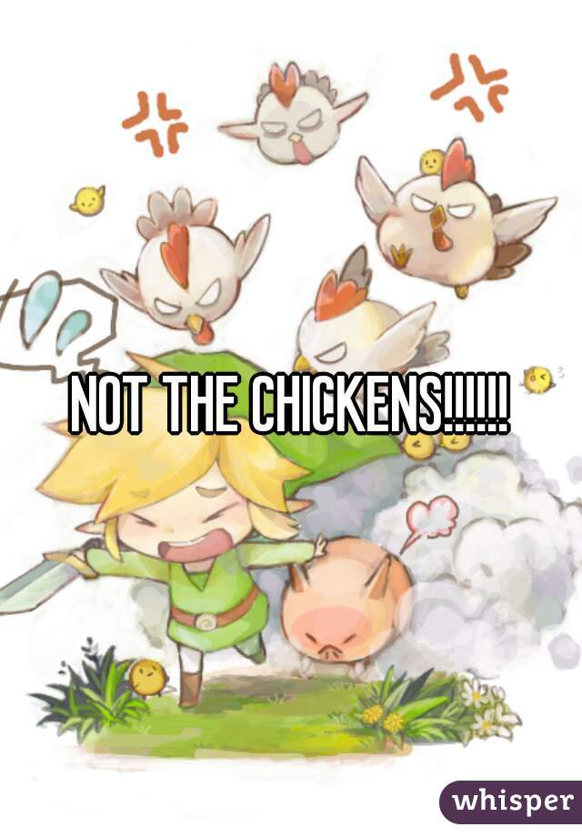 NOT THE CHICKENS!!!!!!