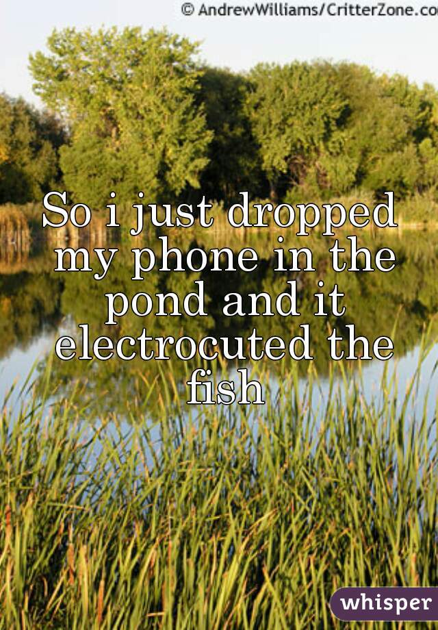 So i just dropped my phone in the pond and it electrocuted the fish