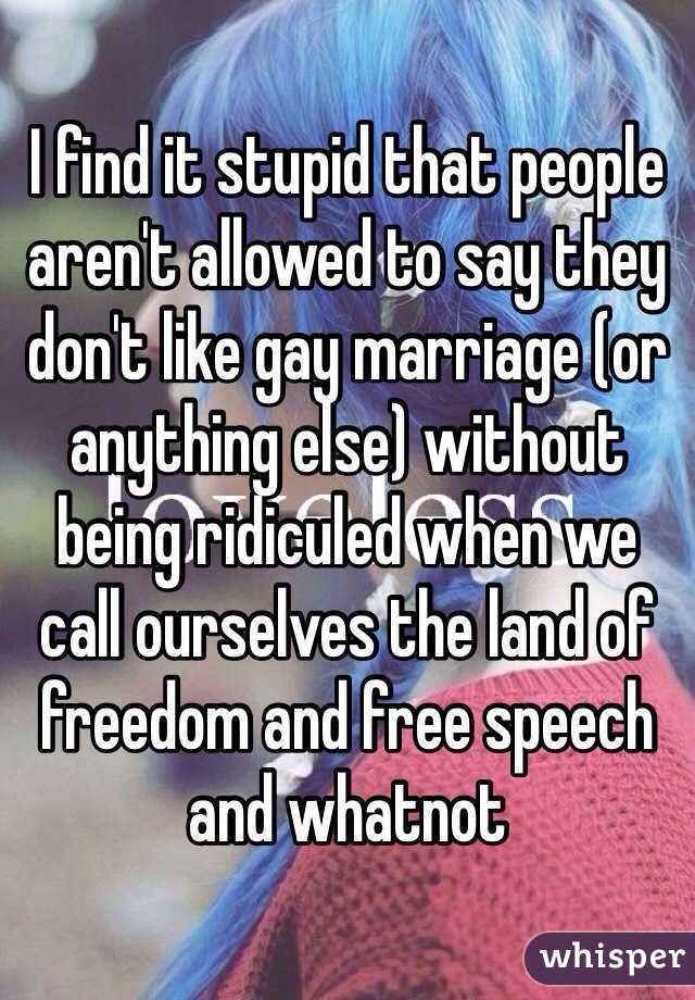 I find it stupid that people aren't allowed to say they don't like gay marriage (or anything else) without being ridiculed when we call ourselves the land of freedom and free speech and whatnot 