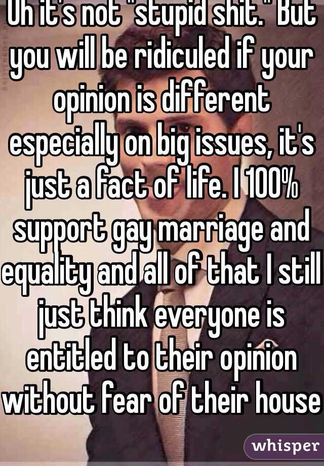 Oh it's not "stupid shit." But you will be ridiculed if your opinion is different especially on big issues, it's just a fact of life. I 100% support gay marriage and equality and all of that I still just think everyone is entitled to their opinion without fear of their house 