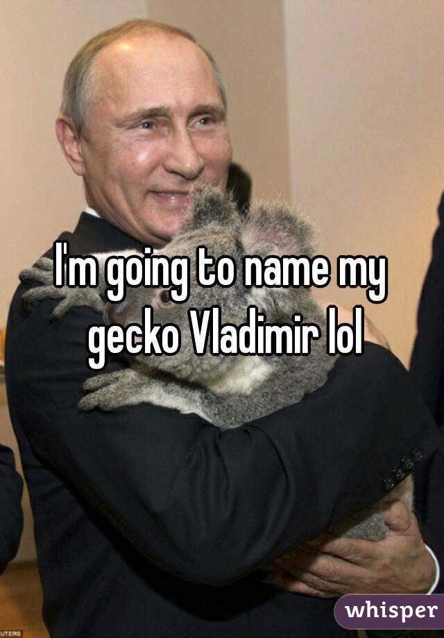 I'm going to name my gecko Vladimir lol