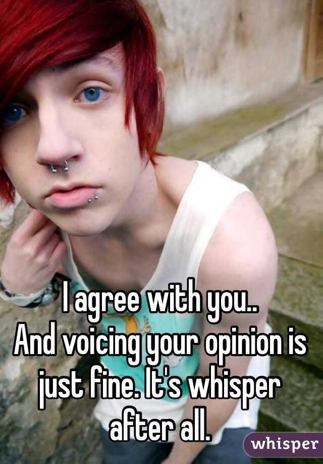 I agree with you..
And voicing your opinion is just fine. It's whisper after all.  